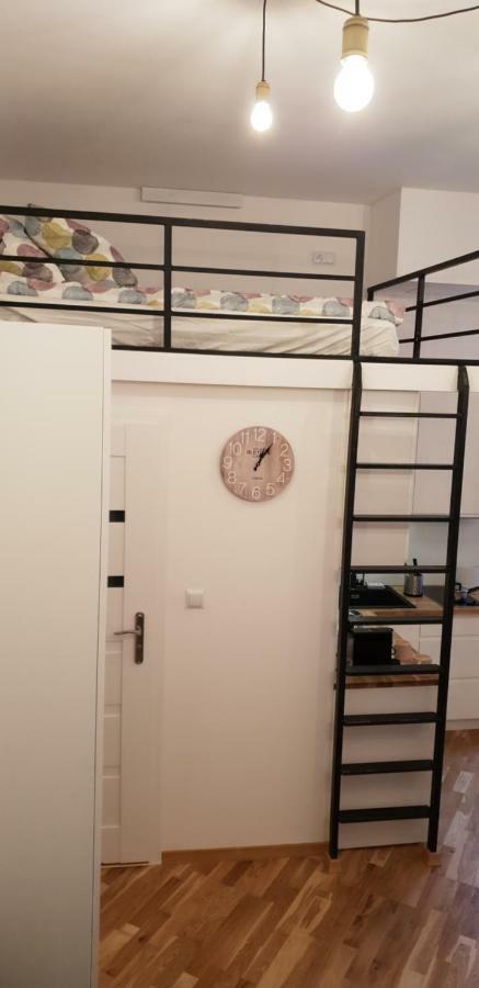 Apartment Lenartowicza Krakow Ngoại thất bức ảnh